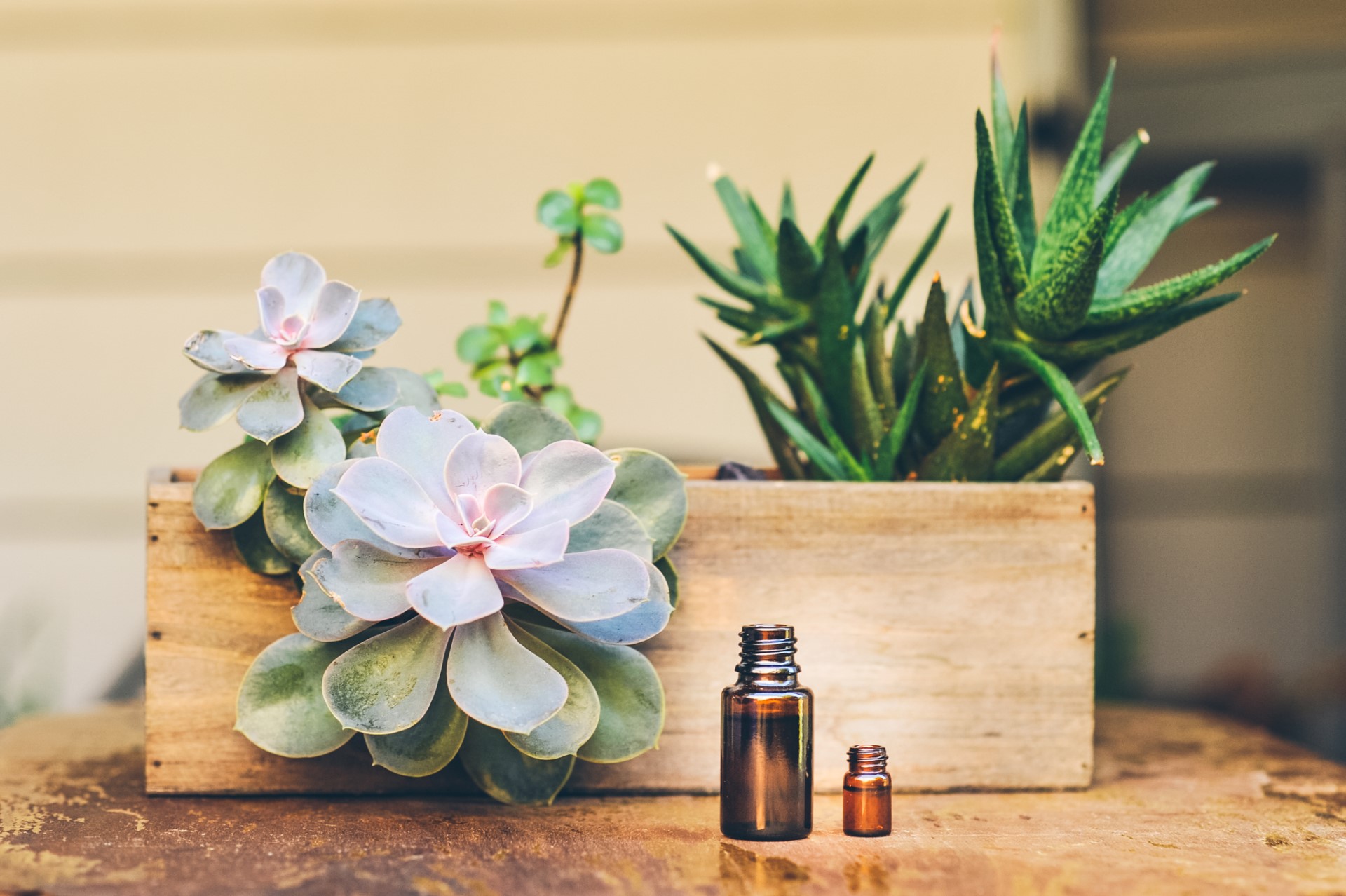 Product Photography